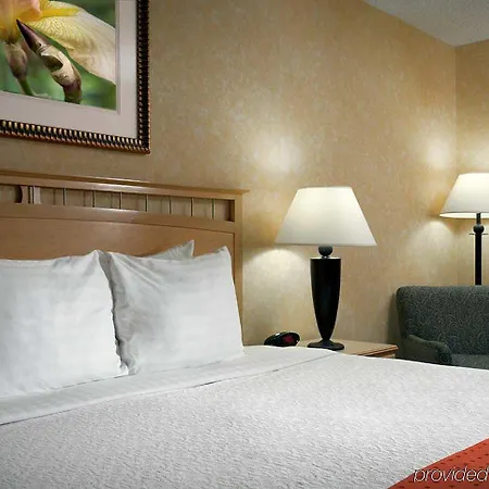 Doubletree By Hilton Hotel 4*